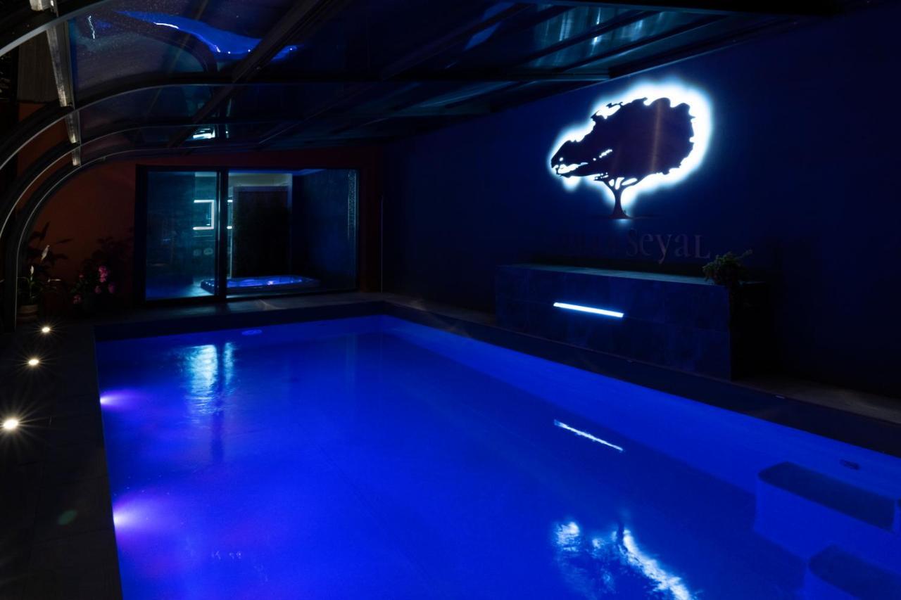 Villa Seyal - Avec Piscine - Jacuzzi - Sauna & Climatisation Le Mans Exterior foto